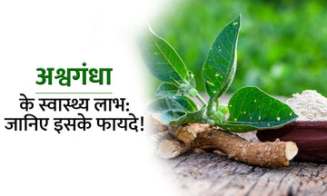 अश्वगंधा के फायदे! - Ashwagandha ke Fayde