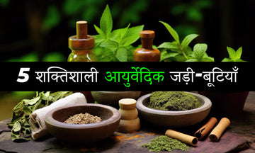 आपके जीवन को बदलने वाली 5 शक्तिशाली आयुर्वेदिक जड़ी-बूटियाँ
