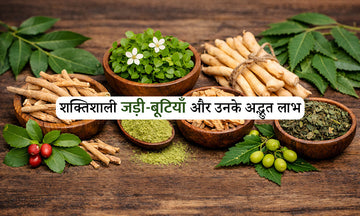 आयुर्वेद की शक्तिशाली जड़ी-बूटियाँ और उनके अद्भुत लाभ