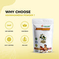Ashwagandha Powder – Stress Relief, Immunity & Energy