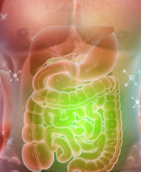 Supports a healthy digestive system