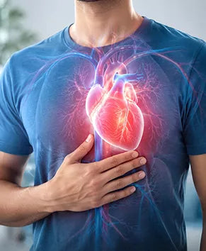 Supports Heart Health