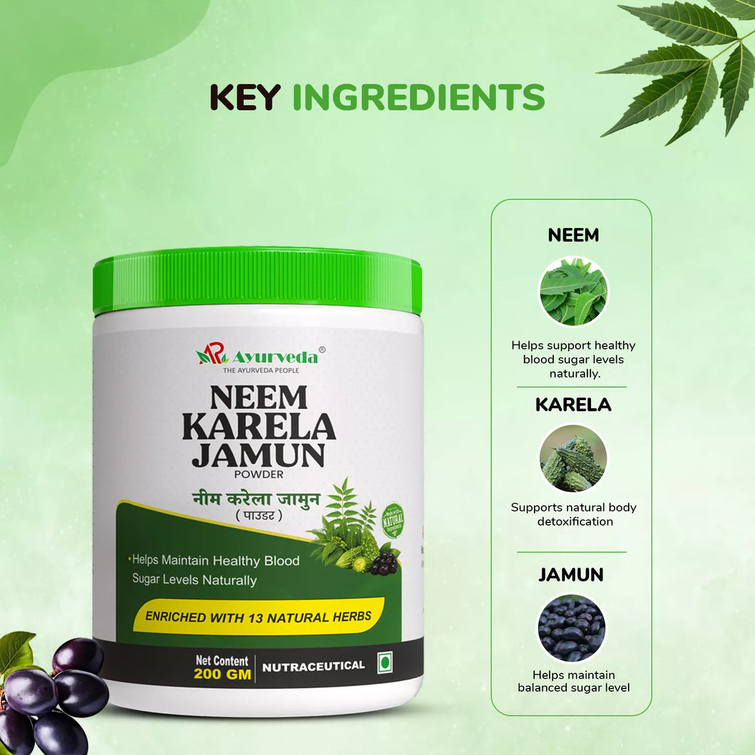 Neem Karela Jamun Powder—For Healthy Blood Sugar Level (200g)